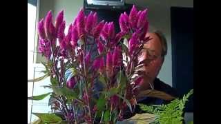 In The Garden with Ron Wilson 10-18-14