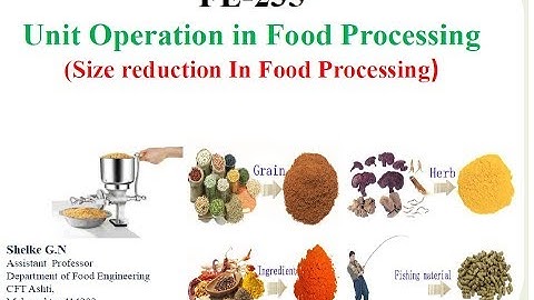 Size Reduction in Food Process Engineering