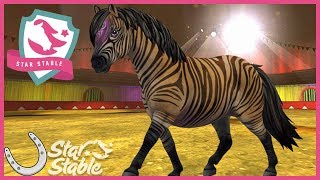 The New Zony Pony in Star Stable Online