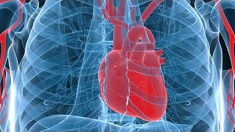 Researchers Create Artificial Foam Heart