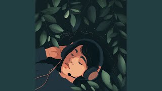 Harmonic Sleep Notes