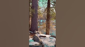 اسمع وارتق للسماء 💙💙💙 ما تيسر من سورة المائدة للقارئ اسلام صبحي @islam_sobhi #explore #nature