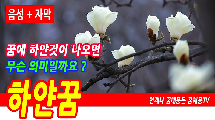 하얀 꿈해몽, 하얀꿈, 하얀 목련 나오는 꿈, 행운, 금전운 암시꿈, 하얀 민들레 꿈 해몽, 하얀색 관련 꿈, 하얀 계란 꿈, 하얀 관련 꿈, 예언, 예지몽