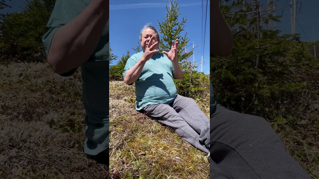 Using the Guiding Principles of 2 Eyed Seeing Approach to Science Communication:Tuma Young