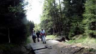 Harzen 2012 Kristihimmelfart