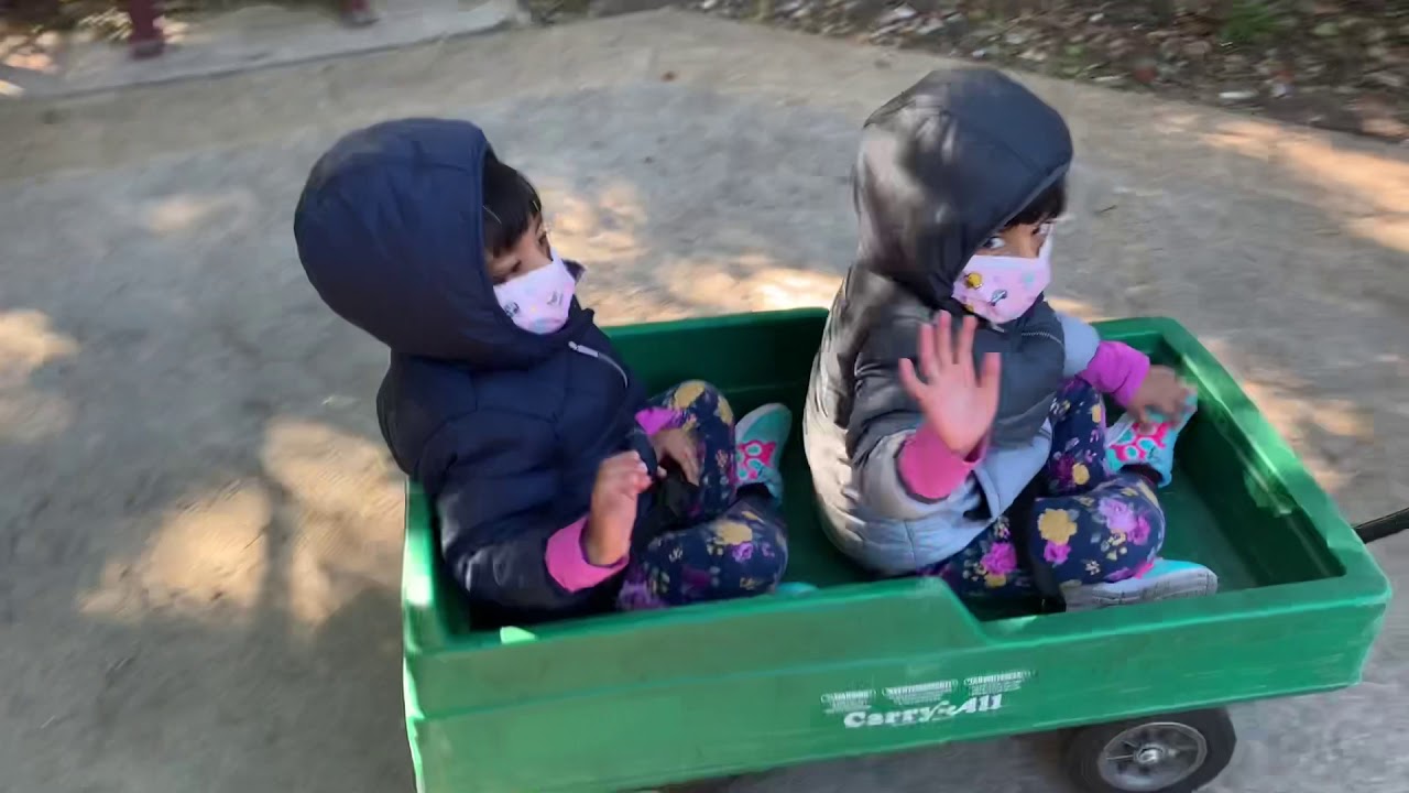 Houston Zoo January 3rd,2021