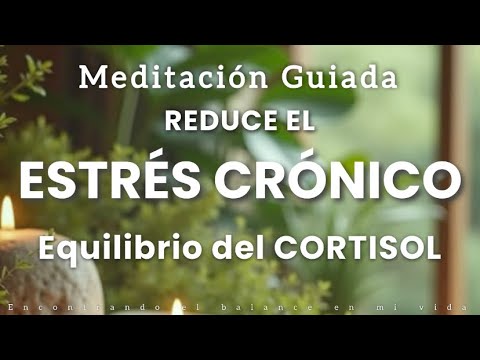 ▶ Encontrando el balance · Meditación guiada: elimina estrés crónico y regula cortisol (15 min)