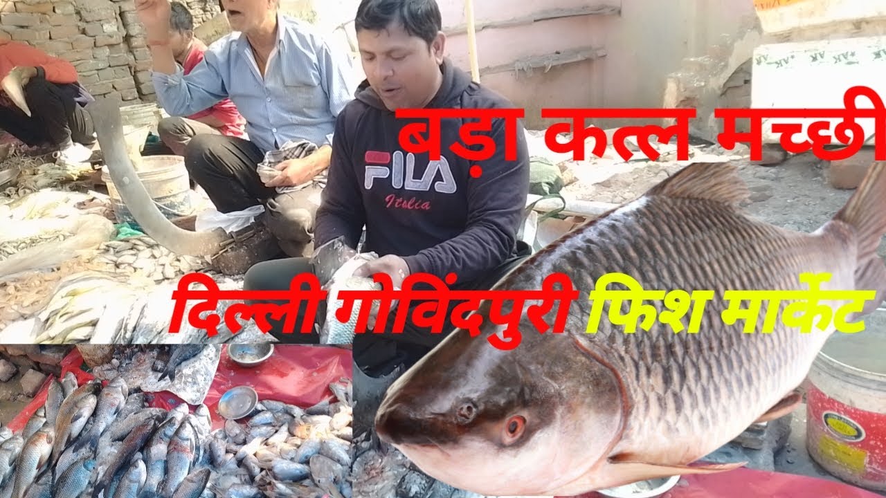 Big katla fish market 🐟 बड़ा कत्ल मच्छी मार्केट दिल्ली Delhi fish