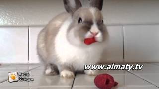 Цвет посуды(, 2015-04-27T10:13:54.000Z)