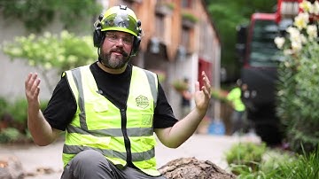 Proper Tree Rigging Techniques with NJ Crane Expert & Jake Riggs