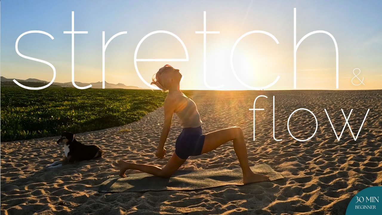 30 min Full Body Yoga Stretch and Flow | Full Body Hatha Yoga Practice ...