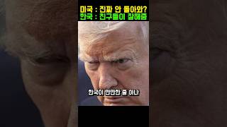 한국의 대응 한 수에 조지아주가 발칵 뒤집힌 이유
