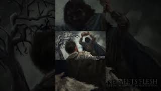 NOCICEPTION AS THE STONE MEETS FLESH OUT NOW!