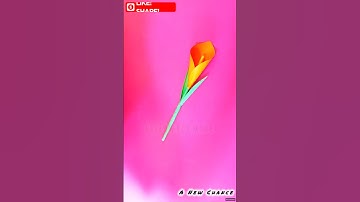 🌼Calla Lily Flower Guide | Easy Flower Making 🌸| Flower Tutorial #shorts #craft