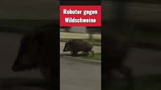 Roboter gegen Wildschwein