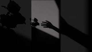 True Love  Shayari Status Bina Chuye Pyar Karna Wo Hai Mohobbat