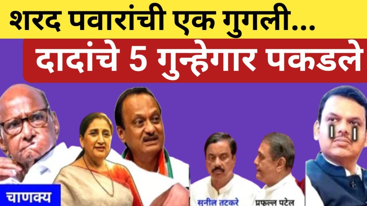 पवारांची एक गुगली, दादांचे पाच गुन्हेगार पकडले , चतुर पवार | Sharad Pawar, fadnavis, Praful, tatkare