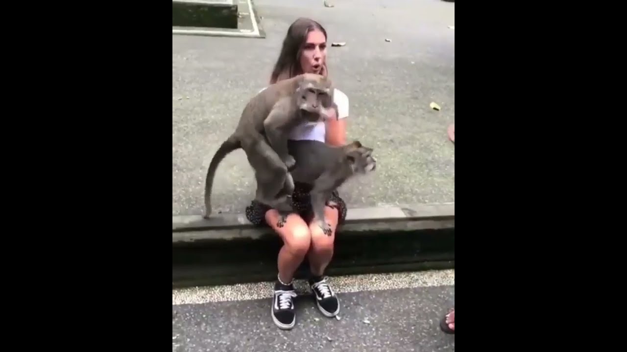 Real monkeys fucking a woman