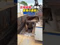 圧縮破壊の現場！ 重機の最期！ #重機 #解体工場 #ブルドーザー #スクラップ #産業機械