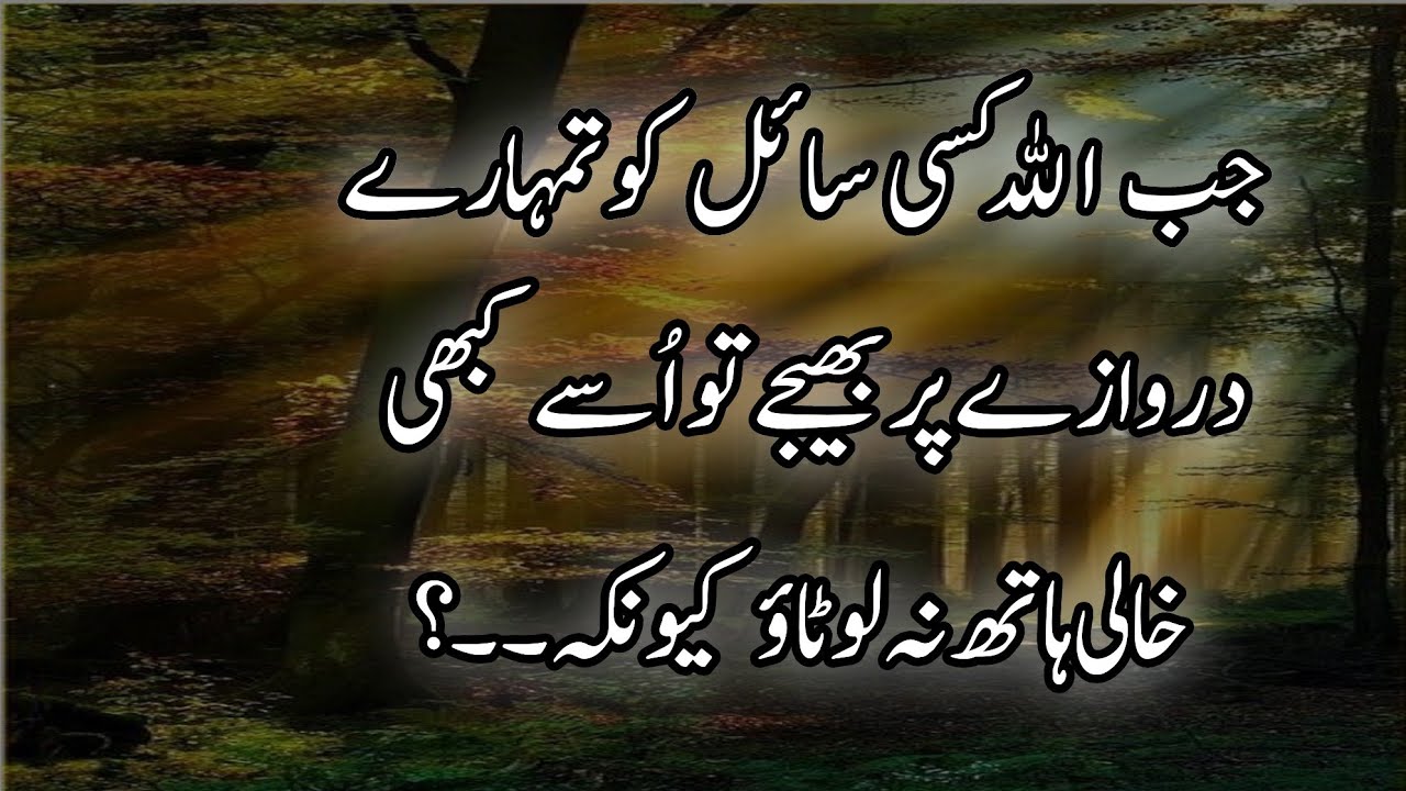 Sayil ko khali hath lotany se Kya hota hai | deep words | Amazing Urdu quotes | ArzooWrites