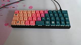 A really close look on DSA Vilebloom