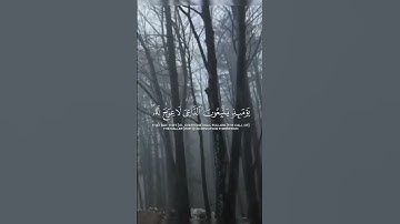 الشيخ ياسر الدوسري سورة طه