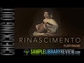Checking Out: Rinascimento, Medieval Instrument for Kontakt by FluffyAudio