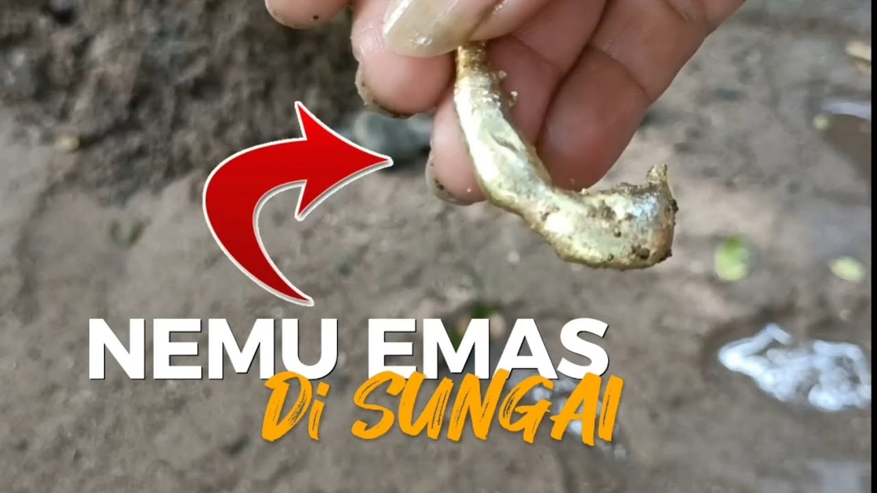 TAK TERDUGA NEMU EMAS DI SUNGAI DENGAN METAL DETECTOR