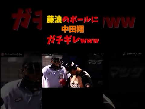 藤浪のボールに中田翔がガチギレwww 【谷繁はたのしげ】#shorts