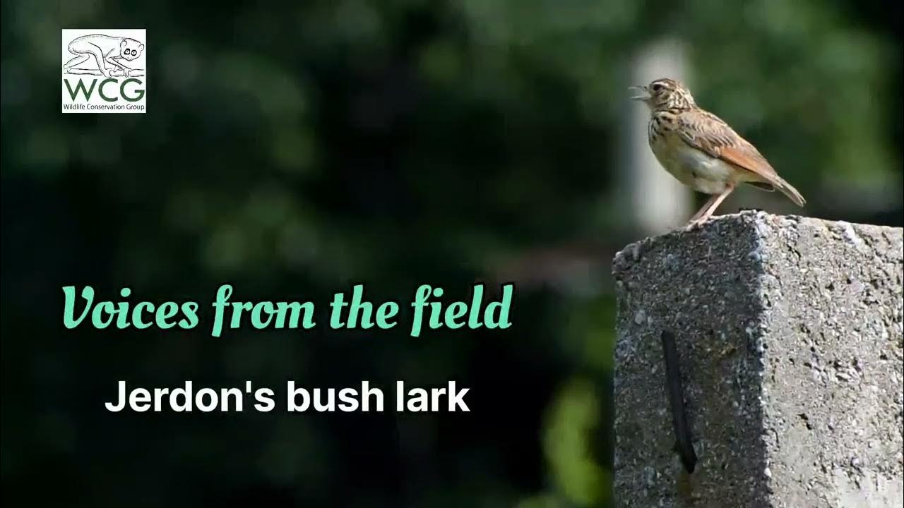 Project commons biodiversity survey voices from the field ncbs 