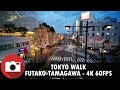 Tokyo Walk - An Evening In Futako-Tamagawa - 4K 60FPS