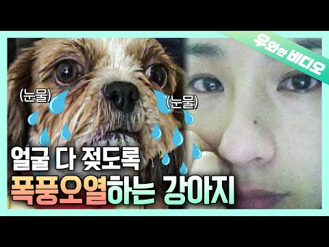 🐶💧💦┃Crying <strong>Selfie</strong>... My Next IG Post..🐶💧💦