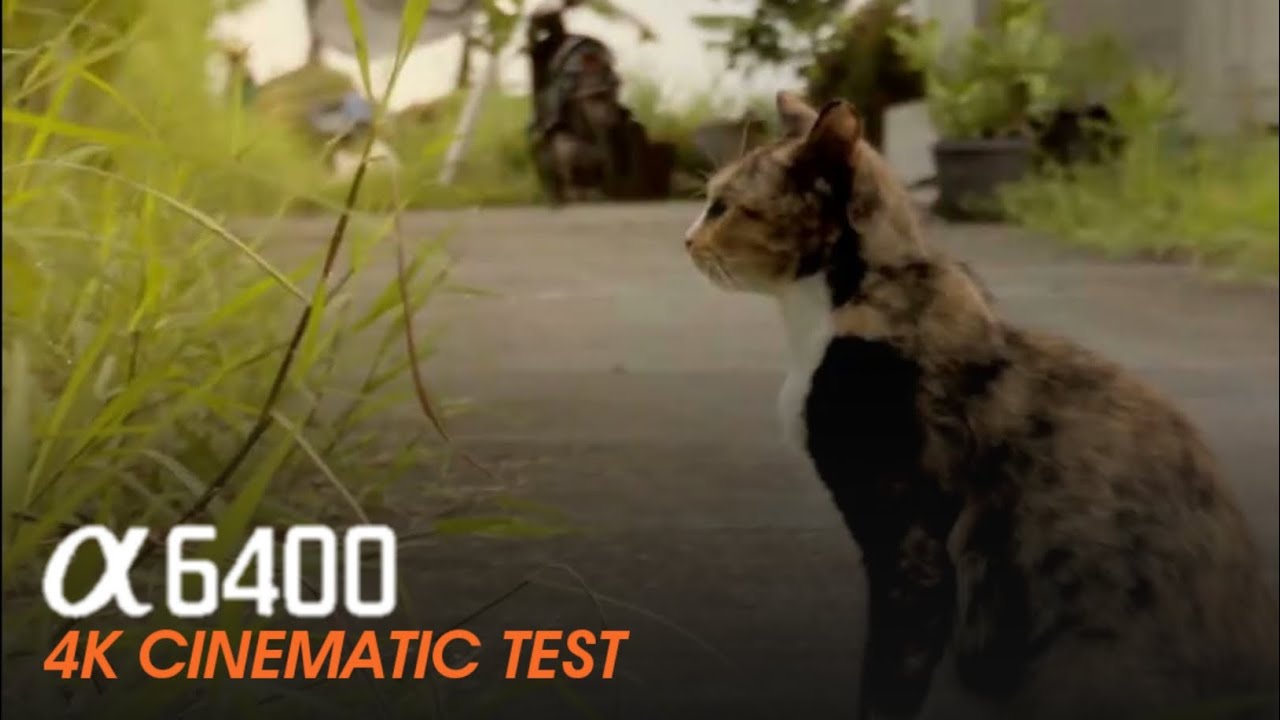 4K | Sony A6400 | Slog 3 | Video test