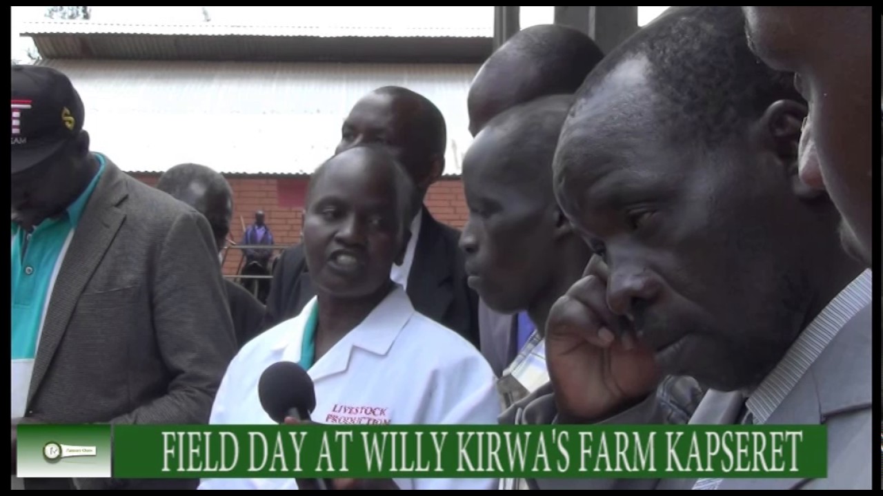 DAIRY FARMING FIELD DAY AT WILLY KIRWA 'S FARM KAPSERET-farmers check kts tv kenya
