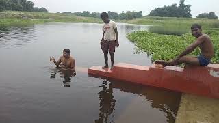 मेरे गाँव का SWIMMING POOL