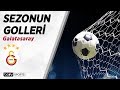 Süper Lig'de 2018-19 Sezonu Golleri | Galatasaray