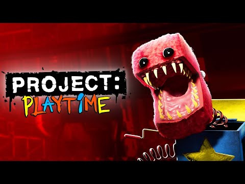 Project Playtime