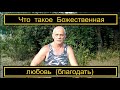 Что такое &quot;Божественная любовь (Благодать)&quot;?