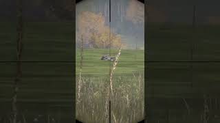 #dayz #pvp | #nikonlivegame