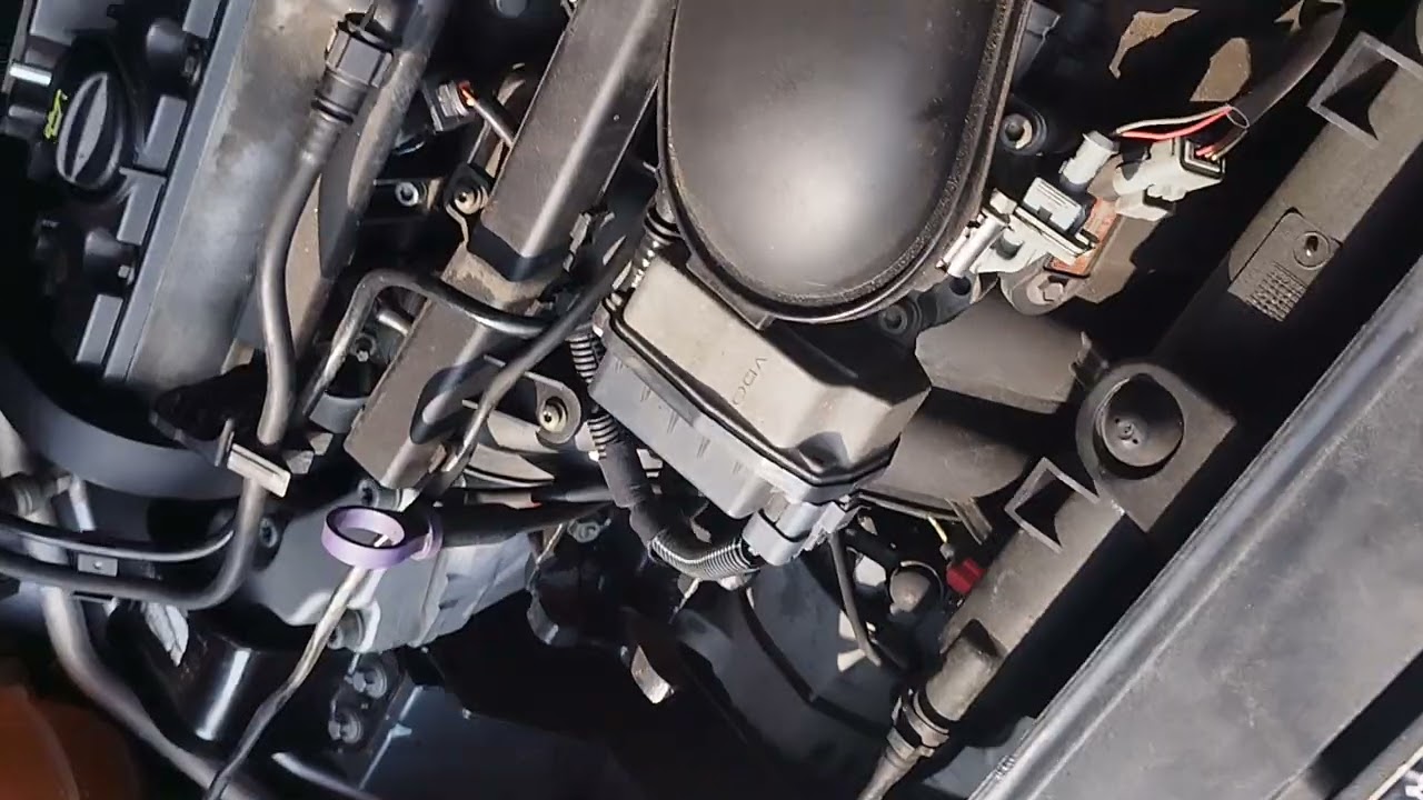 dica correia dentada Peugeot 307 2.0