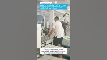 Palletizing machine - Efficiency king,soaring production capacity, precise, stable,safe and reliable