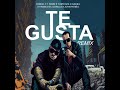 Wisin &amp; Yandel, Tony Dize, Gadiel, Franco El Gorilla, John Patiño - Te Gusta Remix (Preview)