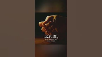 راحة نفسية🌿اجمل حالات واتس اب قران كريم بصوت جميل جدا 🎧💖 تلاوة خاشعة ومؤثرة🌸🍃 Quran status