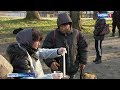 Обязательная дезинфекция: как в Калининграде волонтёры кормят бездомных
