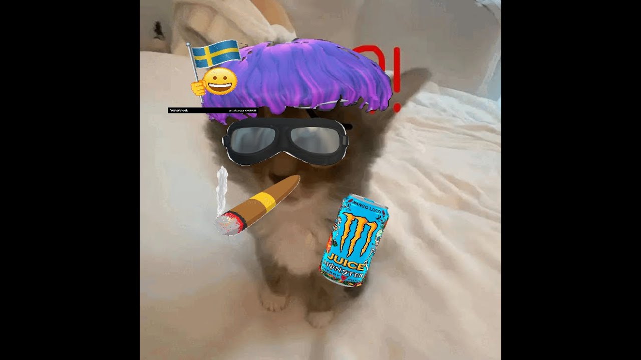 No Team Sweden 🇸🇪 🦁💪 | FiveM Arena