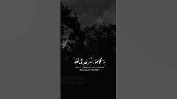 #تلاوات #تلاوت #تلاوة_خاشعة #قران_كريم #قرآن #ترتیل #quran #هزاع_البلوشي #ماهر_المعيقلي #عبدالرحمن_م