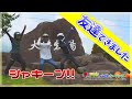 友達出来たよ！　友達いないモトブロガーがついにマスツー！