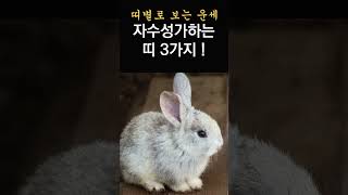 띠별로 보는 말년운! 금전운! 자수성가할 가능성이 큰 띠 3가지!