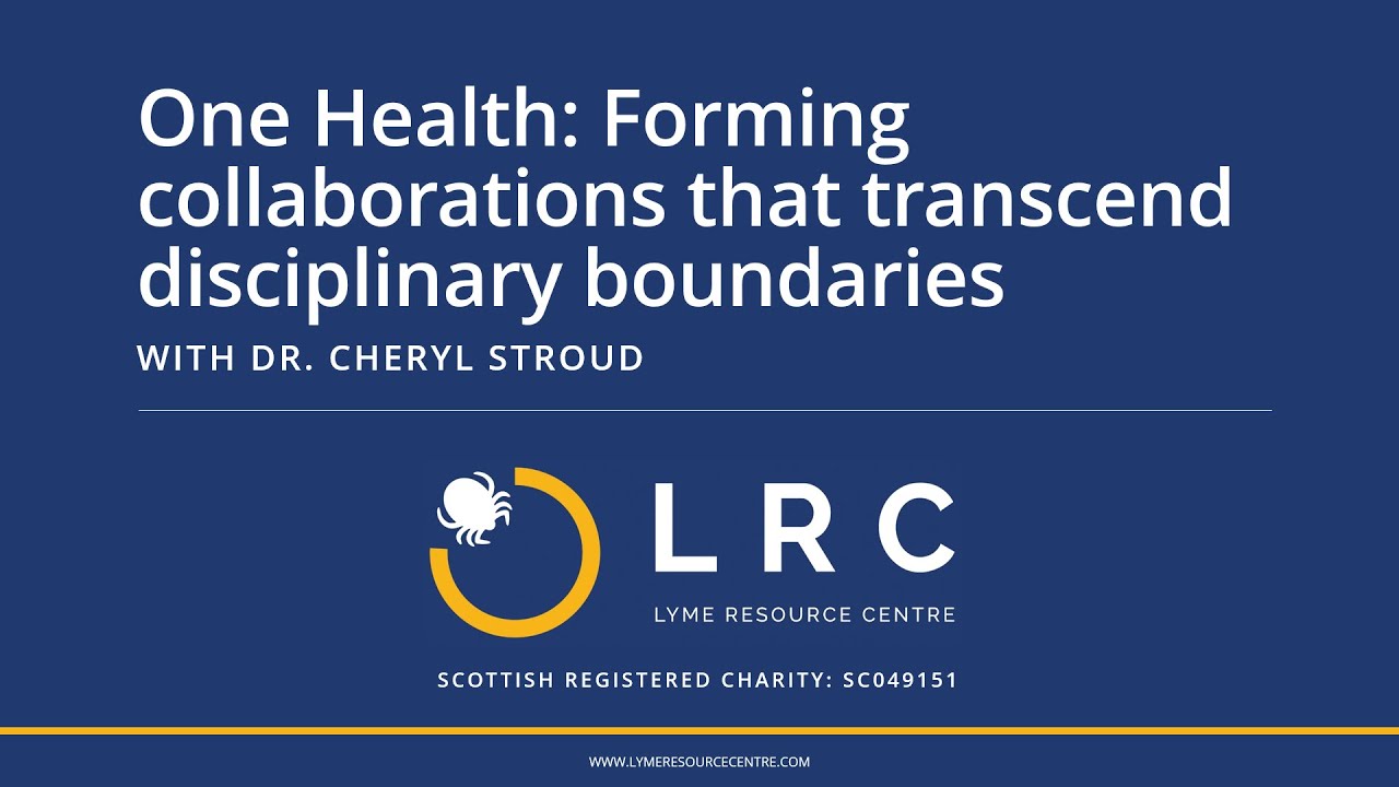 One Health: Forming collaborations that transcend disciplinary boundaries