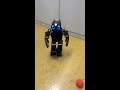 Darwin Robot Playing Soccer